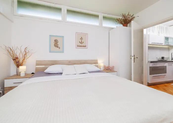 Sertic 2 드라말리